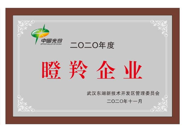 瞪羚企業